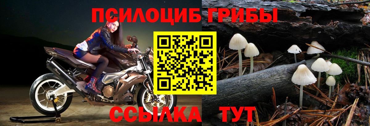 Псилоцибиновые грибы мицелий Коломна